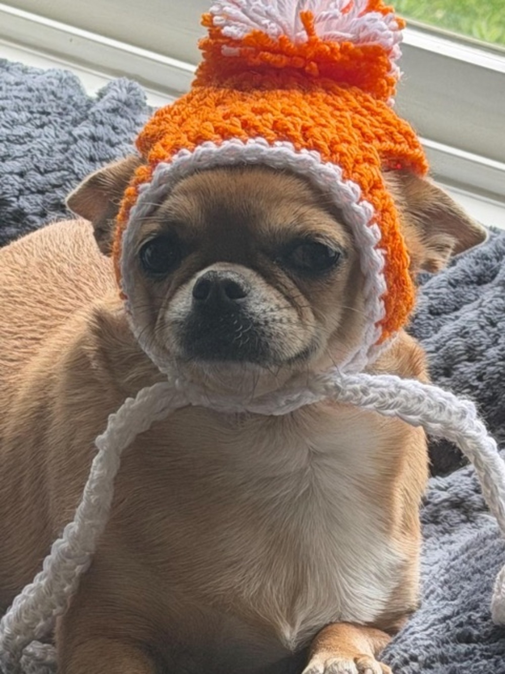 Dog Hat Small Dog Crochet Hat Tangerine